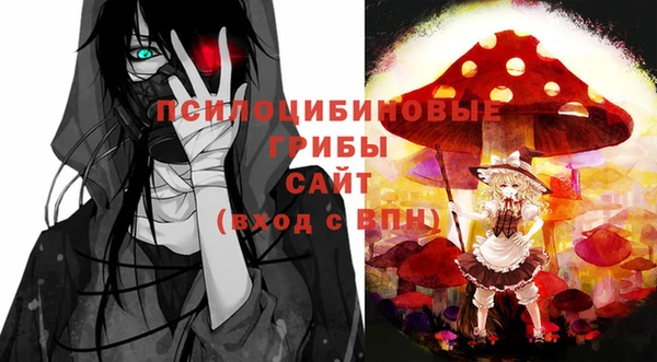 прущие крисы Белоозёрский